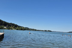 20240812_Scharnagl