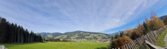 20241021_Schreiner1