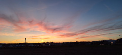 20241101_Lang