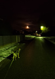 20241122_Lang