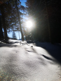 20241228_Guber