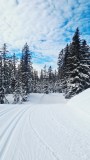 20250116_Schoenleitner3