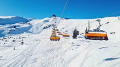 20250123_Schoenleitner