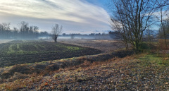 20250126_Lang