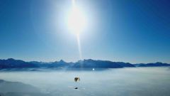 20250213_Schoenleitner2