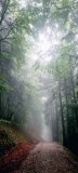 20250611_Schoenleitner