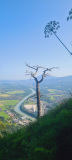 20250614_Schoenleitner5